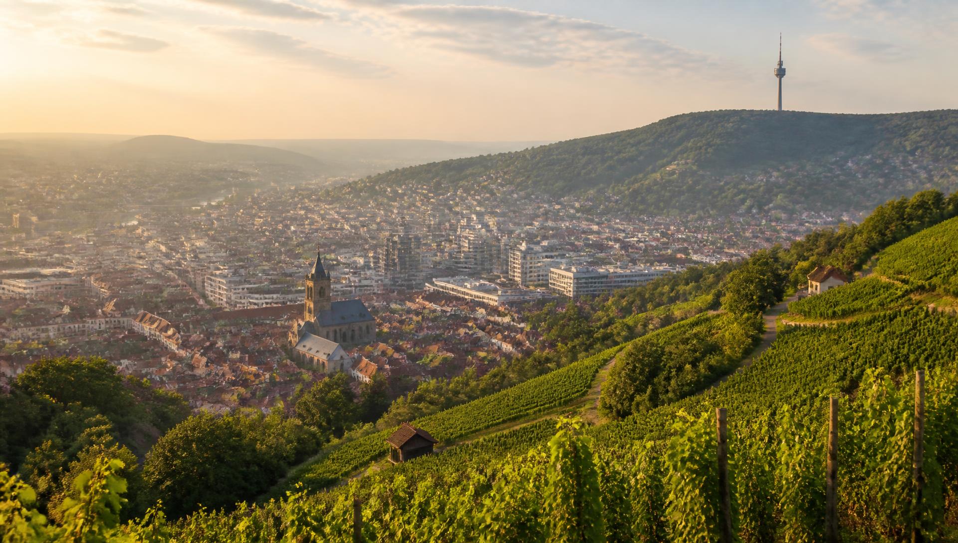 Blick über das Stuttgarter Becken mit Weinbergen